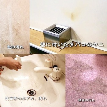 ADL(原液) 1ガロン ドーイチ