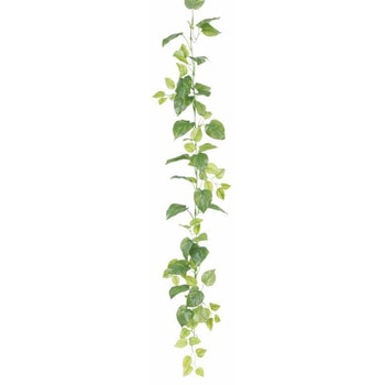 ライムポトスガーランド FRECCE