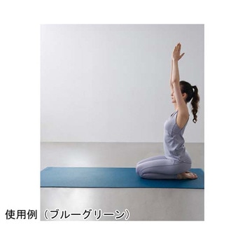 RS×IFMC. PVCヨガマット 5mm RAG002シリーズ BAJ