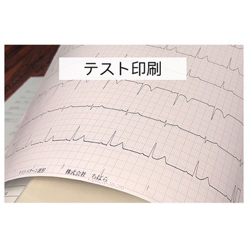 心電図記録紙 ちばら