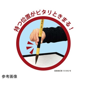 兼毛書写楽FITGRIP プラケース入り 2本組×5セット入 ALS-Fシリーズ あかしや