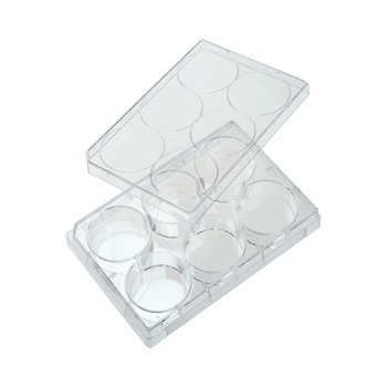 蓋付きウェル組織培養プレート 個別 滅菌 - Celltreat