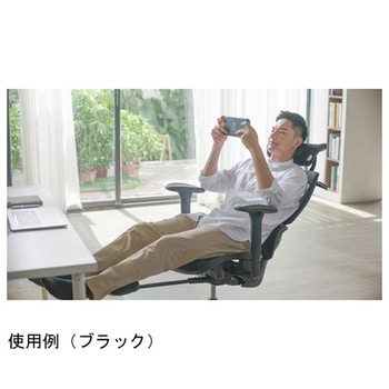 Chair Pro FCC-100シリーズ COFO