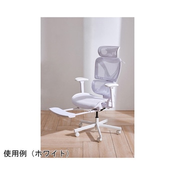 Chair Pro FCC-100シリーズ COFO