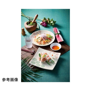 21cm 楕円皿 更紗 M-491SRAシリーズ スリーライン