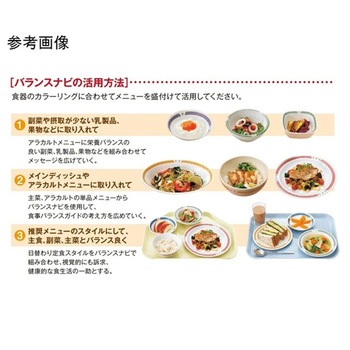 麺丼 バランスナビ GW-554BNYシリーズ スリーライン