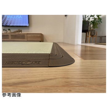 MIGUSA CARE専用スロープ材 NO-DAN ノーダン アズワン