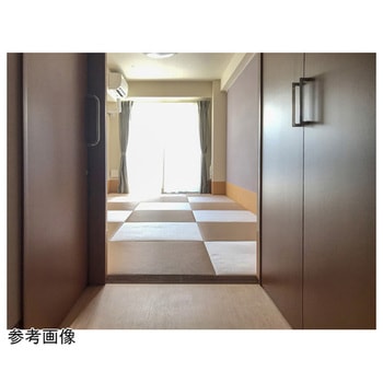 MIGUSA CARE専用スロープ材 NO-DAN ノーダン アズワン