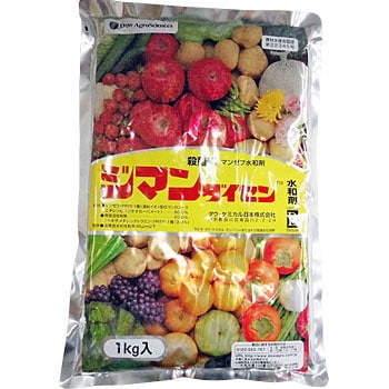 - �W�}���_�C�Z�����a�� �_�E�E�A�O���T�C�G���X���{ 04722752