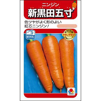 ニンジン 新黒田五寸 タキイ種苗