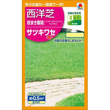 ペレニアルライグラス シルバーダラー 1kg タキイ種苗 タネのタキイ 芝種 送料無料 代金引換不可
