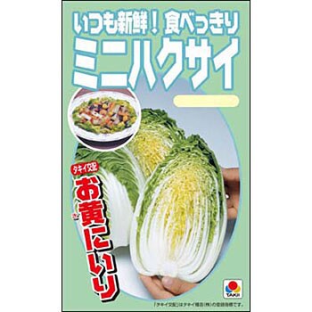 いつも新鮮!食べっきりミニハクサイ[お黄にいり] 1袋(1.2mL) タキイ種苗 【通販モノタロウ】