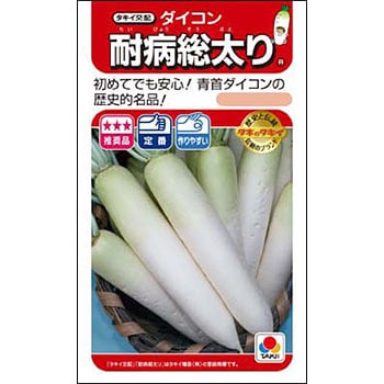 ダイコン 耐病総太り タキイ種苗 野菜の種 秋まき 通販モノタロウ