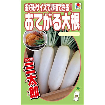 おてがる大根 三太郎 1袋(5mL) タキイ種苗 【通販モノタロウ】