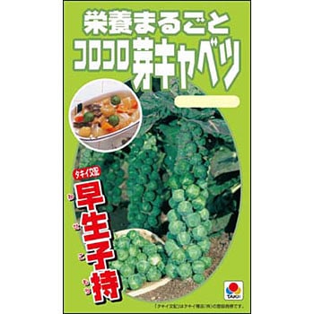 栄養まるごと コロコロ芽キャベツ タキイ種苗 野菜の種 秋まき 通販モノタロウ