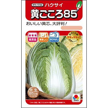 ハクサイ 黄ごころ85 1袋 1ml タキイ種苗 通販サイトmonotaro