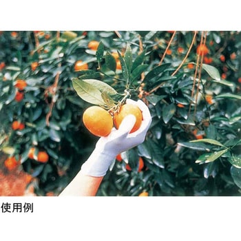 ピッタリ背抜き 強力ロングタイプ NO265シリーズ SHOWA(ショーワグローブ)