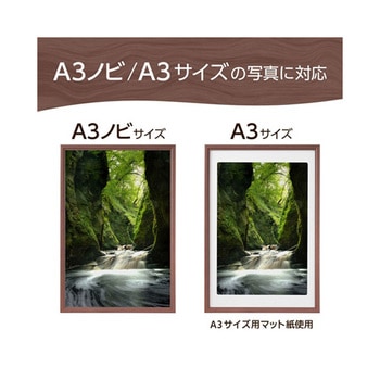 木製額 FWPXPシリーズ ハクバ写真産業