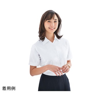 ENJOY シャツブラウス Softkarseystretch ホワイト ESB405シリーズ カーシーカシマ