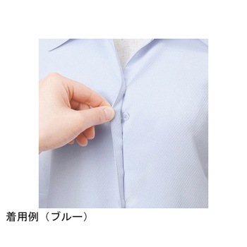 ENJOY シャツブラウス Softkarseystretch ホワイト ESB405シリーズ カーシーカシマ