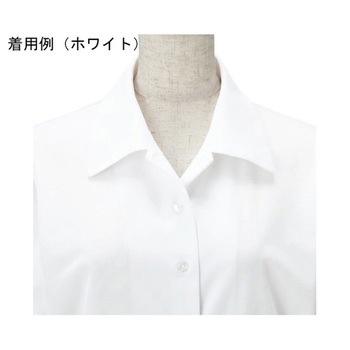 ENJOY シャツブラウス TRICOT KNIT KERSEY ホワイト EWB692シリーズ カーシーカシマ