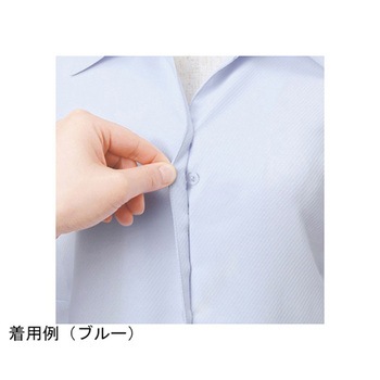 ENJOY 長袖リボンブラウス Softkarseystretch ブルー EWB386シリーズ カーシーカシマ