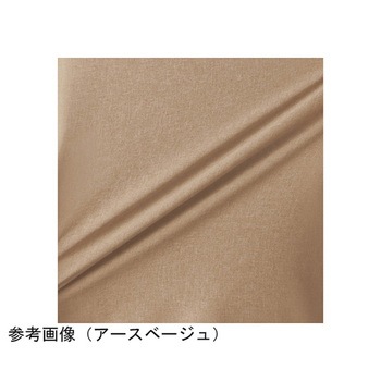 HEARTGREEN パンツ アースベージュ HAK020シリーズ カーシーカシマ