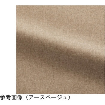HEARTGREEN パンツ アースベージュ HAK020シリーズ カーシーカシマ