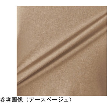 HEARTGREEN パンツ アースベージュ HAK020シリーズ カーシーカシマ
