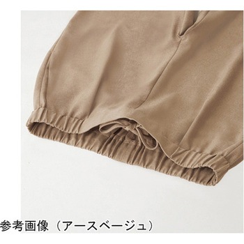 HEARTGREEN パンツ アースベージュ HAK020シリーズ カーシーカシマ