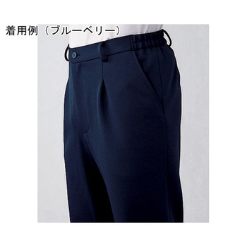 HEARTGREEN パンツ カフェオレ HL1775シリーズ カーシーカシマ