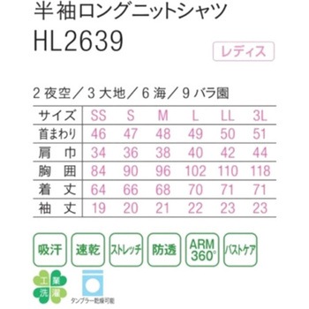 HEARTGREEN シャツブラウス NITTI SHIRT TUNIC 大地 HL2639シリーズ カーシーカシマ