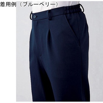 HEARTGREEN ニットストレートパンツ 脇ゴム仕様 ブルーベリー HM1785シリーズ カーシーカシマ