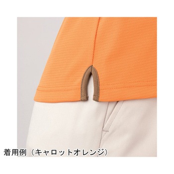 HEARTGREEN ポロシャツ V-CAT ITEM ピスタチオグリーン HM2159シリーズ カーシーカシマ