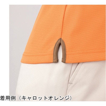 AMUS-NET シャツブラウス 214-9 ピンク AWY214シリーズ カーシーカシマ
