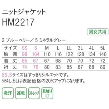 フォグストップ缶 G 12個入 サイモン