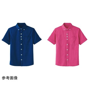 HEARTGREEN シャツブラウス KNITTI SHIRT PARACHUTE バラ園 HM2649シリーズ カーシーカシマ