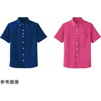 HEARTGREEN シャツブラウス KNITTI SHIRT PARACHUTE バラ園 HM2649シリーズ カーシーカシマ