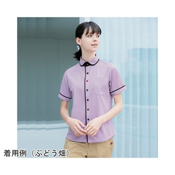 HEARTGREEN 半袖ニットシャツ KNITTI SHIRT WAFFLE バーレル HM2659シリーズ カーシーカシマ