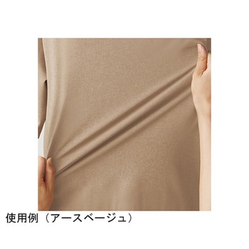 HEARTGREEN Tシャツ アースベージュ HST019シリーズ カーシーカシマ