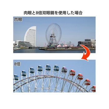 双眼鏡 コンパクト 21mm MCシリーズ I.L.K(池田レンズ工業)