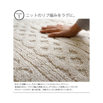 洗えるラグ カレン ブラウン 13473271シリーズ スミノエ