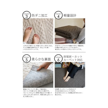 洗えるラグ カレン ブラウン 13473271シリーズ スミノエ