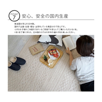 洗えるラグ カレン ブラウン 13473271シリーズ スミノエ