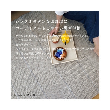 洗えるラグ アトレ グレー 13285718シリーズ スミノエ