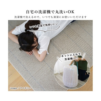 洗えるラグ アトレ グレー 13285718シリーズ スミノエ