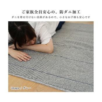 洗えるラグ アトレ グレー 13285718シリーズ スミノエ