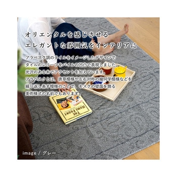 洗えるラグ ノイル グレー 13285696シリーズ スミノエ