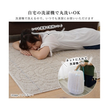 洗えるラグ ノイル グレー 13285696シリーズ スミノエ