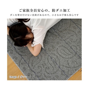 洗えるラグ ノイル グレー 13285696シリーズ スミノエ
